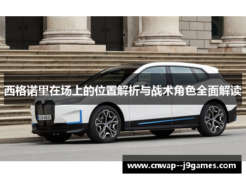 西格诺里在场上的位置解析与战术角色全面解读